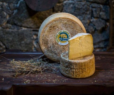 81389185_2752373221536349_2355523544466587648_n