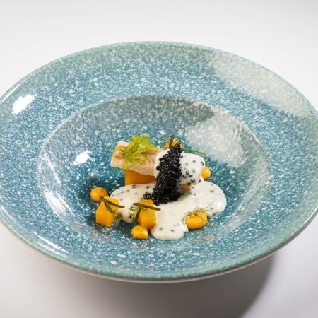 cataliment-9005-1-scaled-e1748418742774