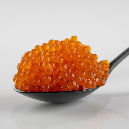 cataliment-bogavante-e1748418722263