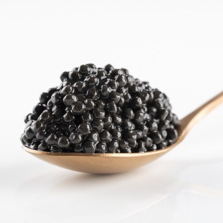 cataliment-caballa-1-e1748418767213