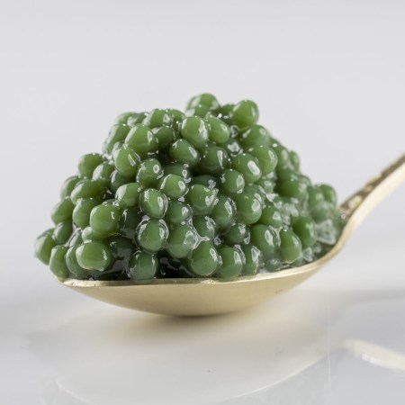 cataliment-roquefort-e1748419798537