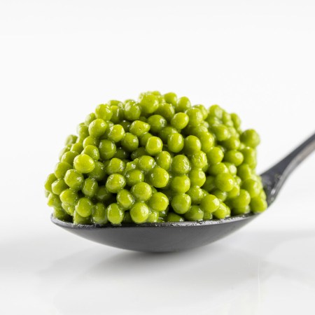 cataliment-wasabi-e1748418124409