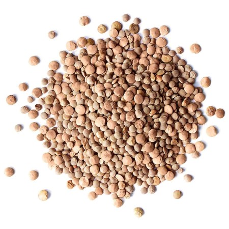 organic-red-lentils-whole-min