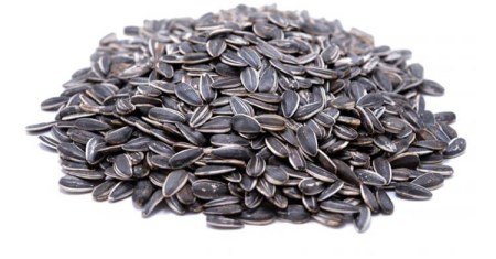 ηλιοσποροσ8