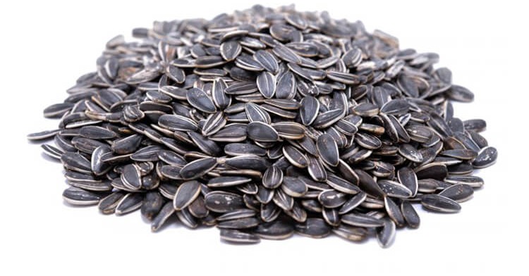 Ηλιόσπορος ψημένος αλατισμένος