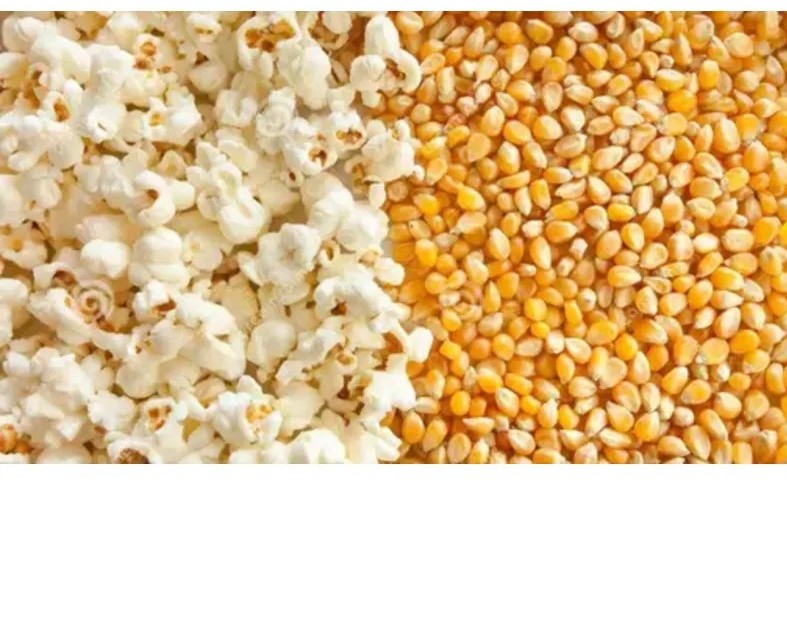 Καλαμπόκι σπυρί (pop corn)